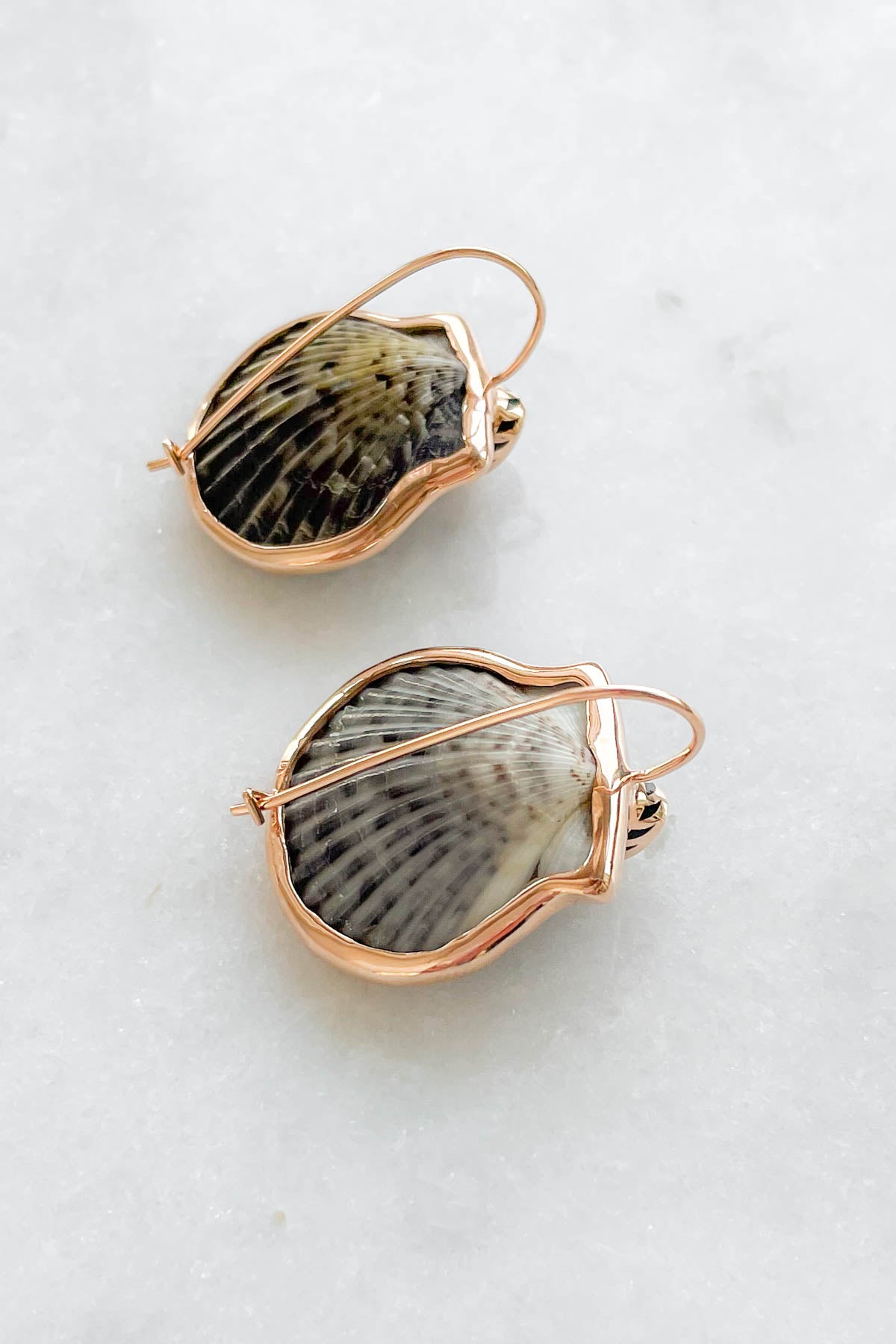 Natural Clam Shell & Yellow Sapphire Earrings